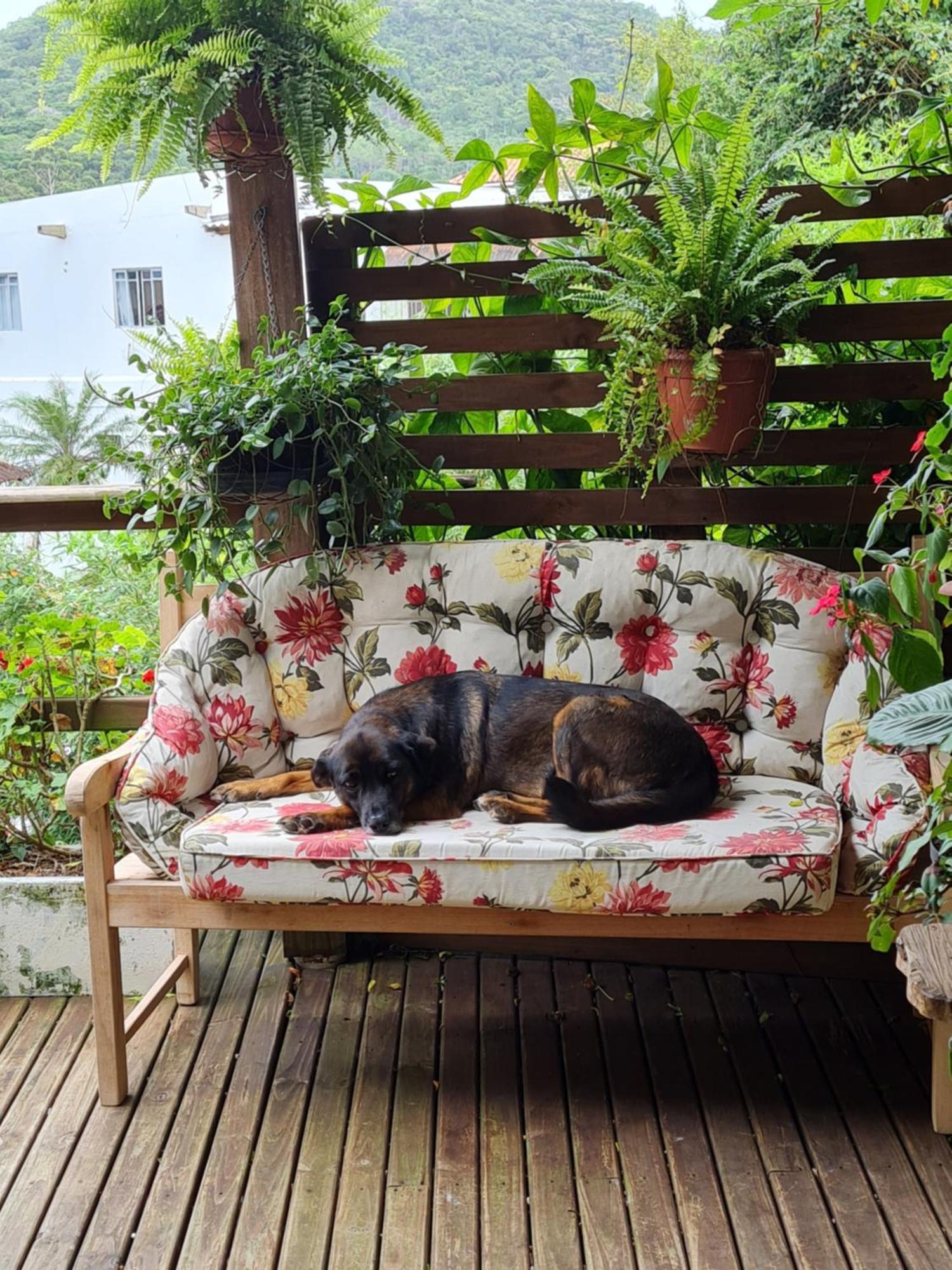 Homestay Casa Da Rosa Em *
